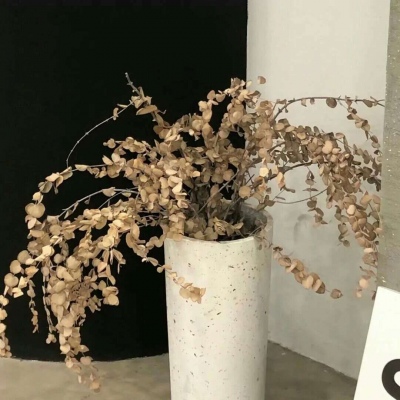 兽设校园场景设计FurryQQ群